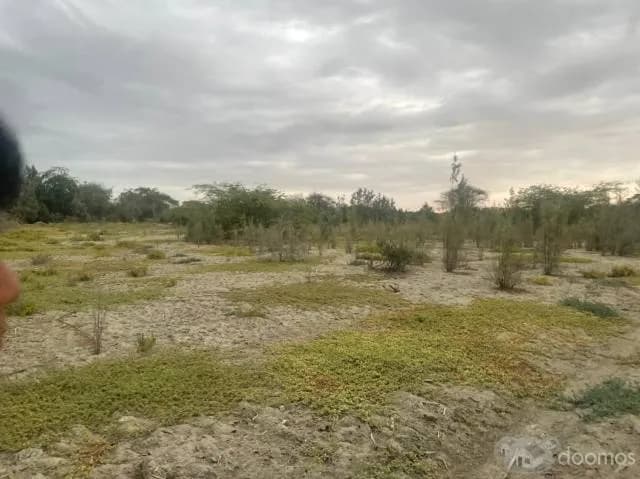 VENTA DE TERRENO EN CIENEGUILLO SUR — foto 3