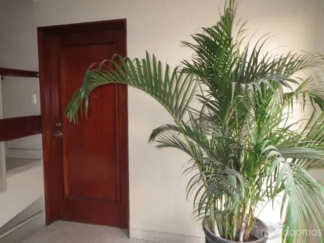 VENDO DEPARTAMENTO — foto 2