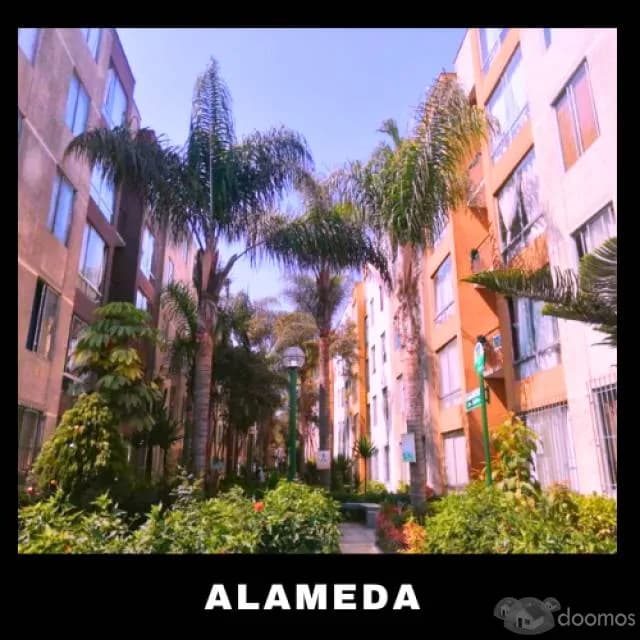 HERMOSO DEPARTAMENTO EN VENTA — foto 5
