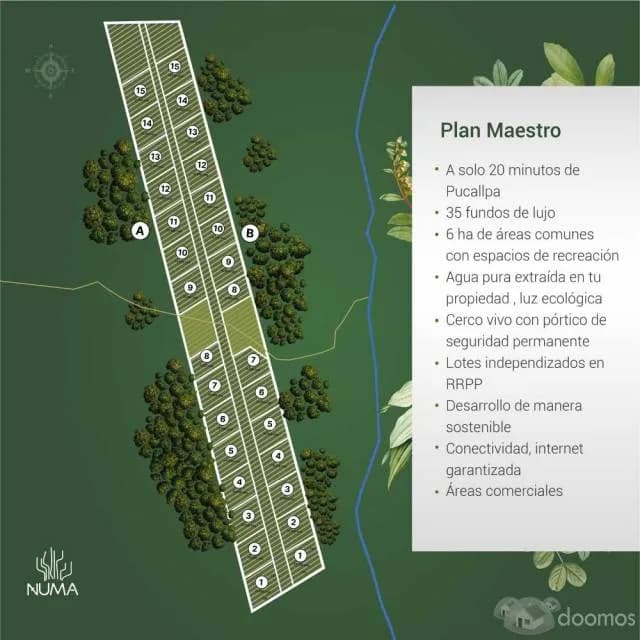Proyecto Inmobiliario Numa — foto 3