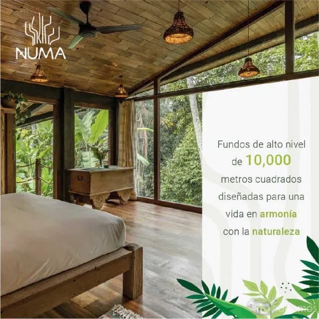 Proyecto Inmobiliario Numa — foto 5