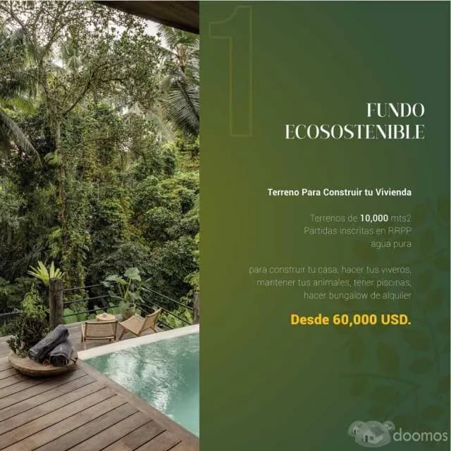 Proyecto Inmobiliario Numa — foto 8
