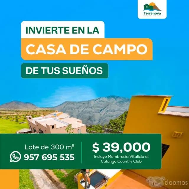 ÚLTIMO TERRENO DE 300 M2 EN CALANGO DISPONIBLE — foto 6