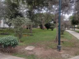 DEPARTAMENTO DE UN DORMITORIO CERCA DE AV. SAN FELIPE Y ALIZANZA FRANCESA