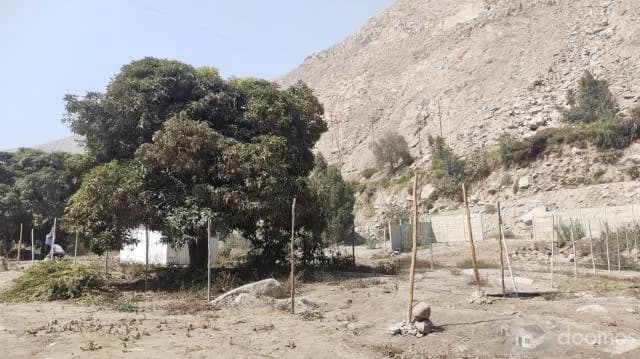 Venta terreno Cieneguilla 1000 m2 o 500 m2 — foto 5