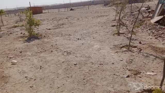 VENTA DE TERRENO DE 500M2 EN LA JOYA - AREQUIPA — foto 2