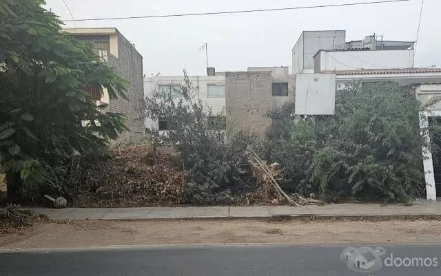 VENTA DE TERRENO POR VIAJE — foto 2