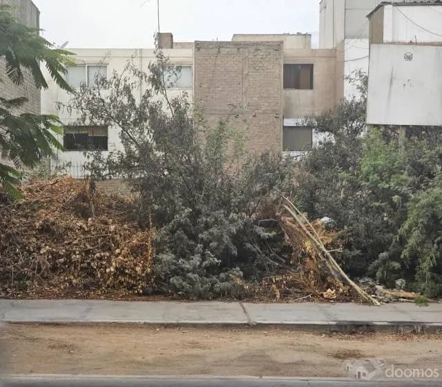 VENTA DE TERRENO POR VIAJE — foto 6