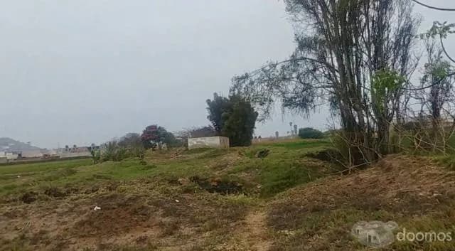TERRENOS en CERRO AZUL — foto 1