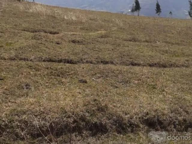 Venta terreno rustico de 56 Has y perimetro 7780m — foto 3