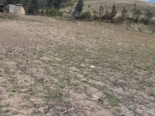 Venta terreno rustico de 56 Has y perimetro 7780m — foto 4
