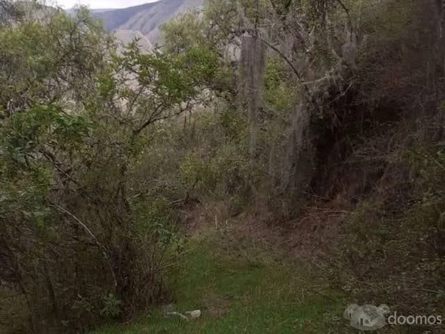 Venta terreno rustico de 56 Has y perimetro 7780m — foto 6