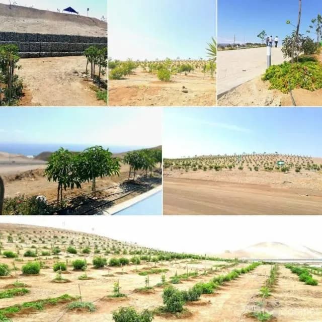 Venta De Terreno Ideal Para Casa De Playa — foto 2