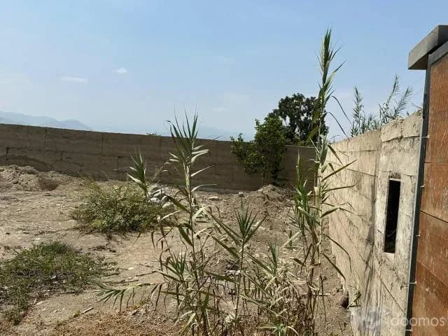 Venta de terreno El Carmen - 6070 m2 — foto 4