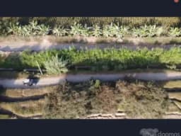 SE VENDE TERRENO AGRICOLA DE 4.75 HECTAREAS EL CARMEN - CHINCHA