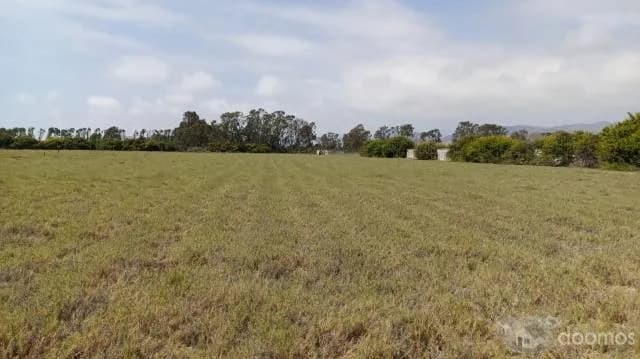 VENTA DE TERRENO DE CAMPO — foto 2