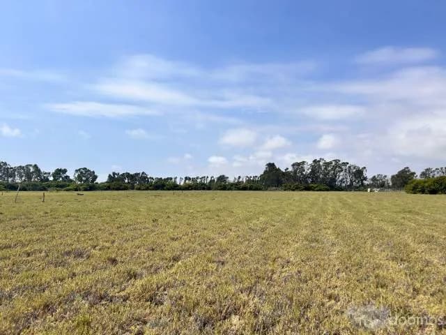 VENTA DE TERRENO DE CAMPO — foto 3