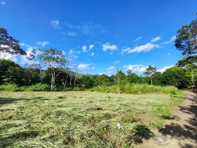 ¡OFERTA ESPECIAL! – LOTES EN TARAPOTO — foto 4