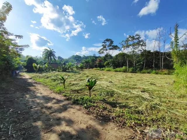 ¡OFERTA ESPECIAL! – LOTES EN TARAPOTO — foto 5