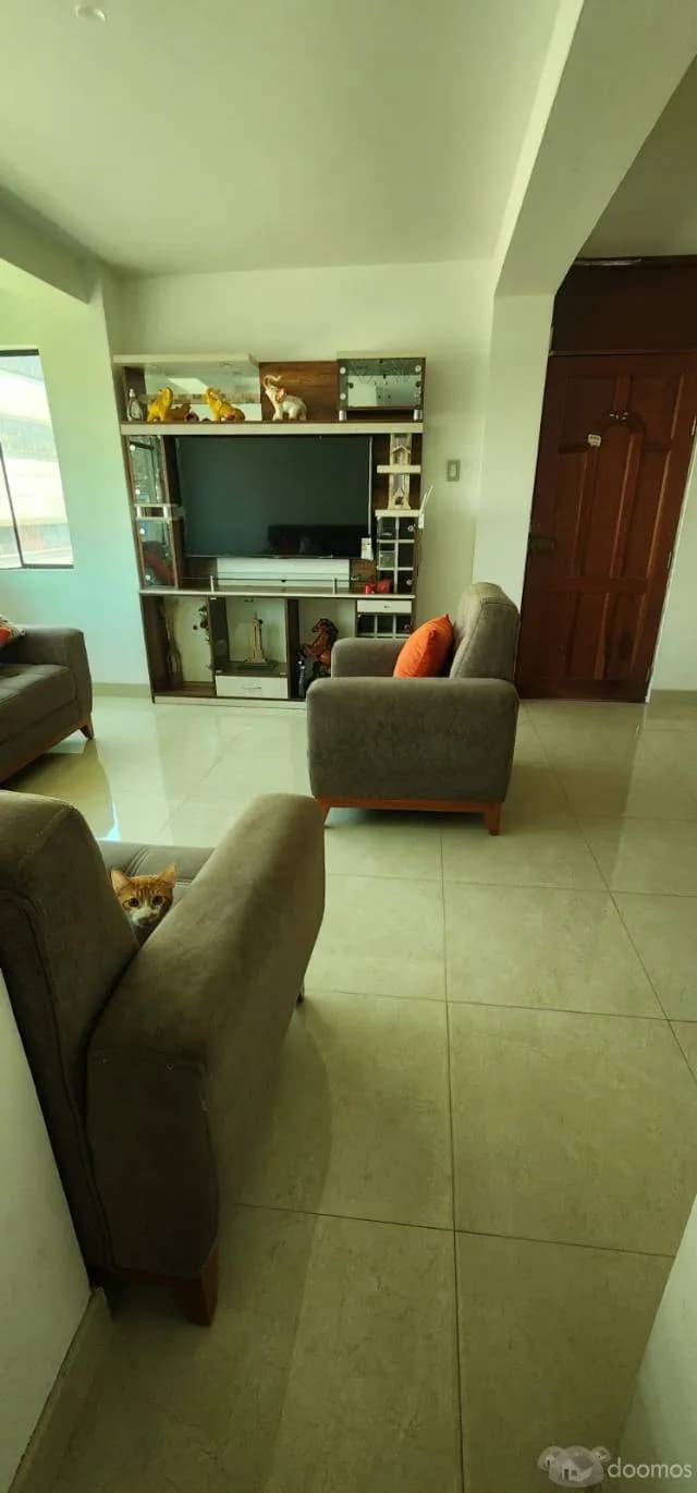 DEPARTAMENTO FRENTE A MEGAPLAZA — foto 3