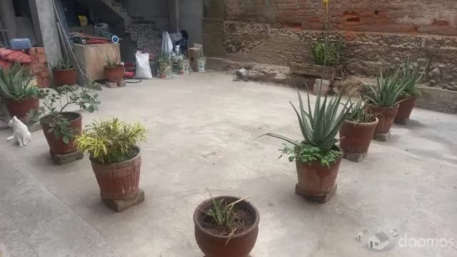 https://www.google.com/maps/search/Prol.+Cesar+Vallejo+MZ+B+LT+17+La+Campi%C3%B1a+Chorrillos/@-12.1849872,-76.9972588,18z/data=!3m1!4b1?entry=ttu — foto 5