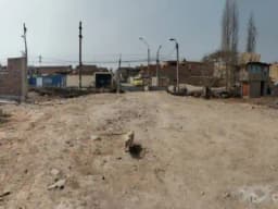 VENTA DE TERRENO  DE 5,000 M2 CON TITULO DE PROPIEDAD CELULAR : 949209583 HECTOR