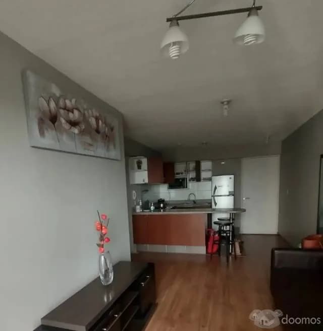 Vendo departamento bonito centrico con cocheras Jesus Maria — foto 2