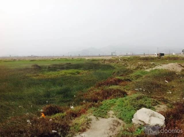 Terreno frente al mar de 1049.21 m2 en Ventanilla — foto 4