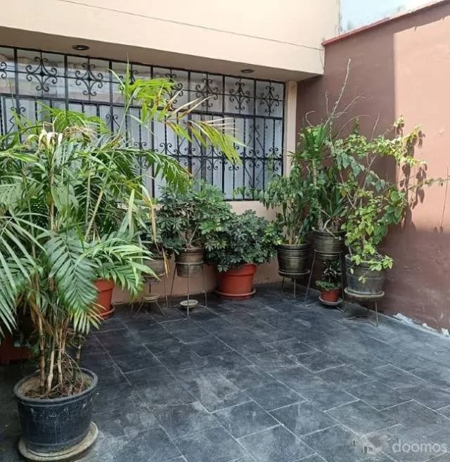 Oficina Ciro Alegria — foto 2