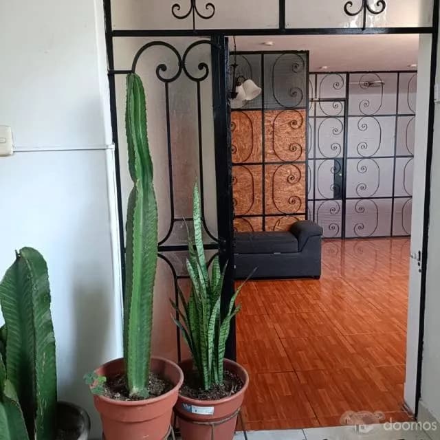 Oficina Ciro Alegria — foto 4
