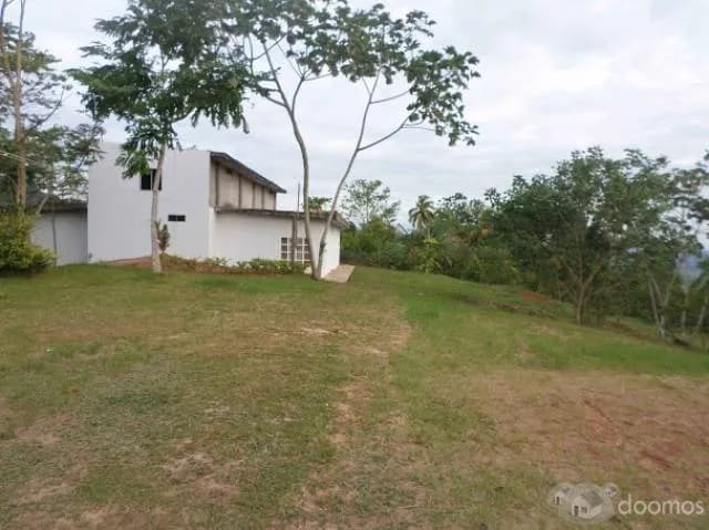 Vive en el paraíso... En la Selva — foto 1