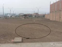 Terreno ubicado en buena zona ( San Pedro de Carabayllo )