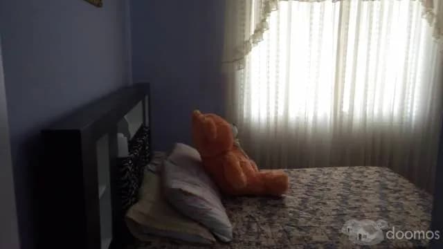 DEPARTAMENTO AMPLIO — foto 3