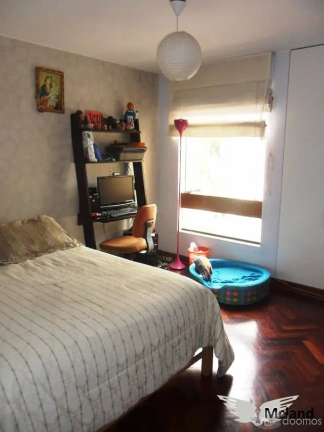 Dpto en san miguel — foto 4