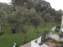 VENDO DEPARTAMENTOS FLAT Y DUPLEX EN MONTERRICO NORTE SAN BORJA