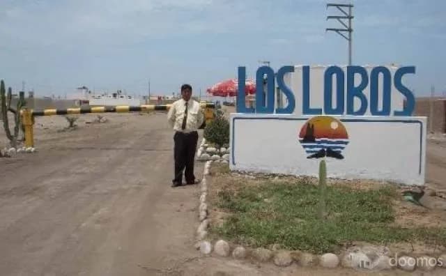 TERRENO PLAYA LOS LOBOS - REMATO — foto 5