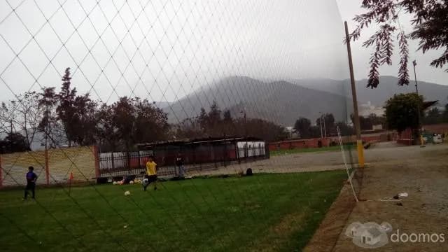 mallas 100% nylon — foto 2