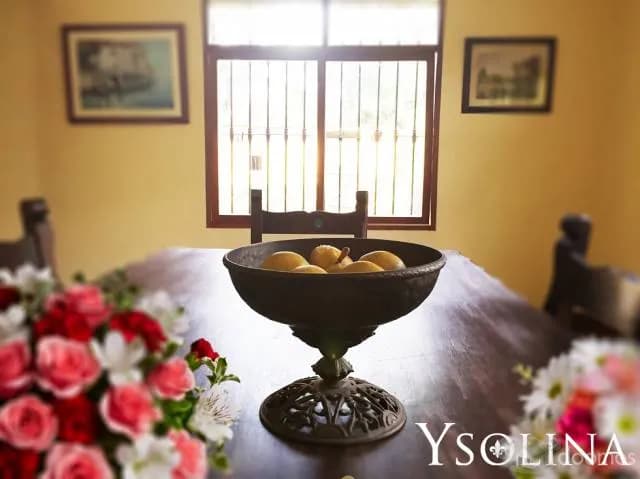 Casa de campo Ysolina — foto 5