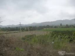 TERRENO DE 16,900 M2 EN MALA