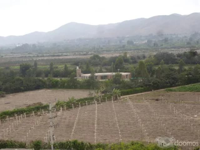 TERRENO DE 16,900 M2 EN MALA — foto 2