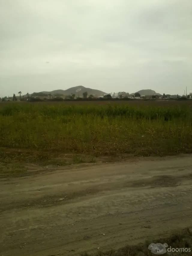 VENDO LOTE EN CERRO AZUL, CAÑETE — foto 1