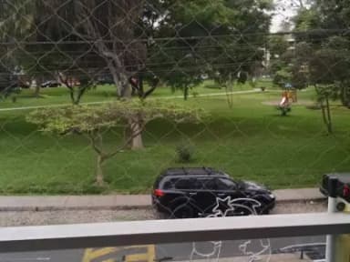 Miniatura 10
