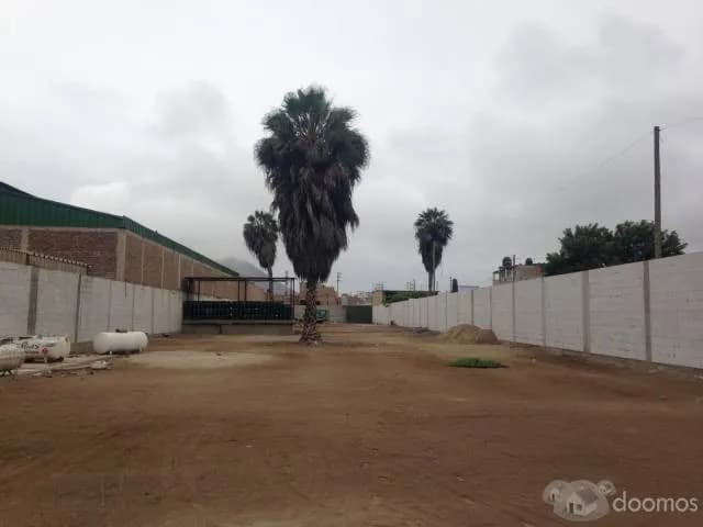 Terreno en Chorrillos — foto 4
