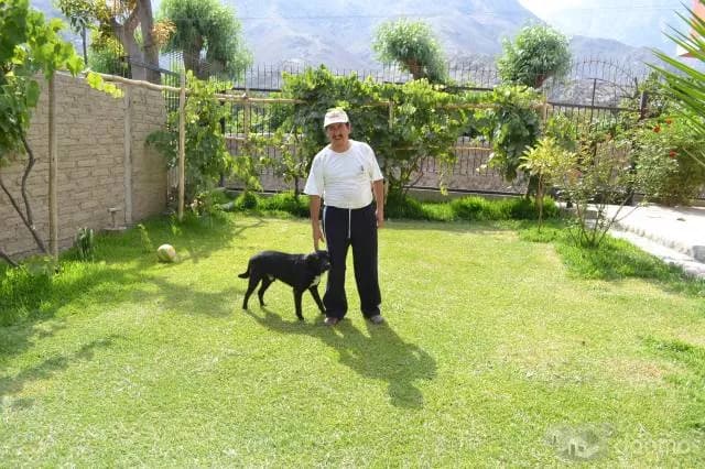 ALQUILER DE CASA DE CAMPO EN LUNAHUANA — foto 4