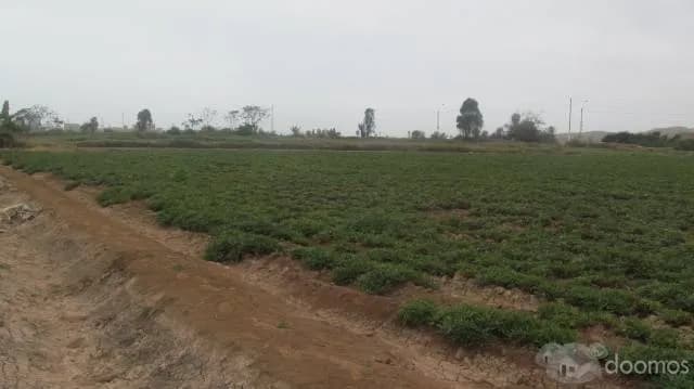 En venta parcela Km 131 , Cerro Azul, Cañete, Lima — foto 2