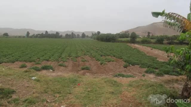 En venta parcela Km 131 , Cerro Azul, Cañete, Lima — foto 4