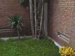 Alquiler de Oficina de 200 m2 en surco a 1550 dólares