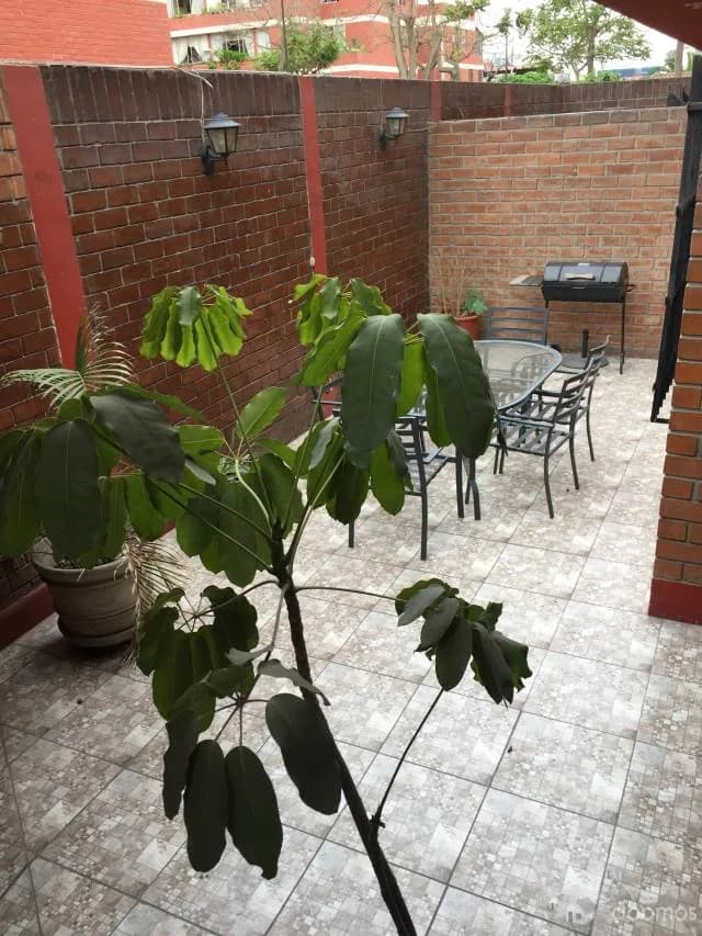 VENDO DUPLEX EN SAN BORJA — foto 3