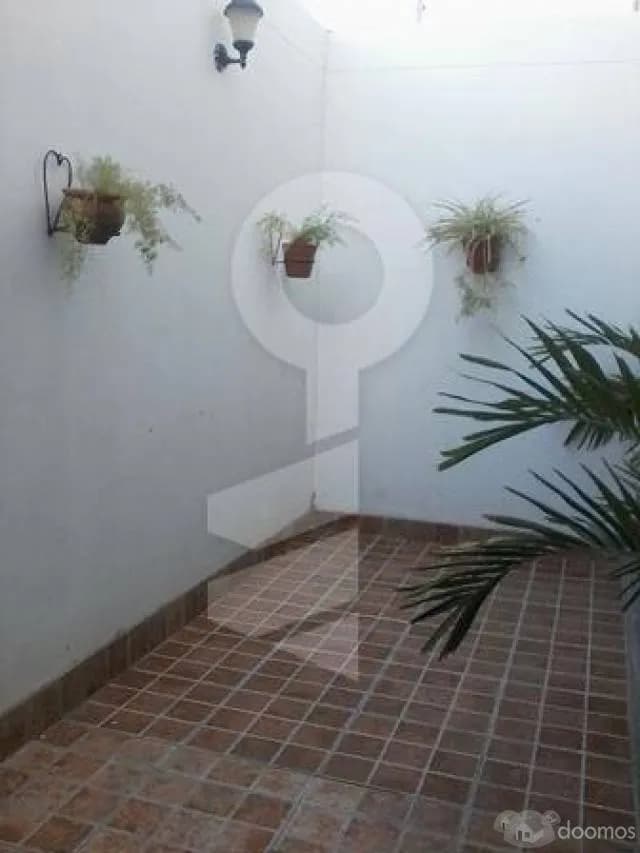 ALQUILO CASA EN LA LAGUNA DEL CHIPE- — foto 6