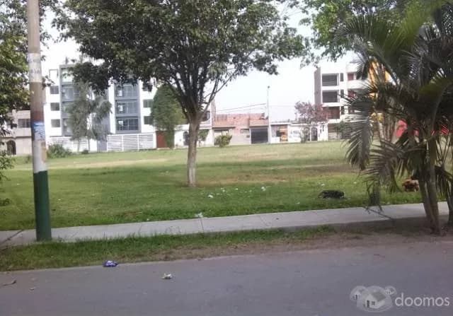 Vendo Casa Santo Domingo de Carabayllo — foto 2
